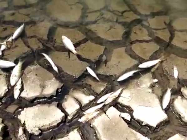 9 அடியாக குறைவு