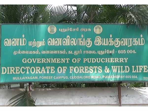 Try to sell it alive Crane and Green parrot Recovered by Puducherry Forest Department Try to sell it alive Crane and Green parrot Recovered by Puducherry Forest Department