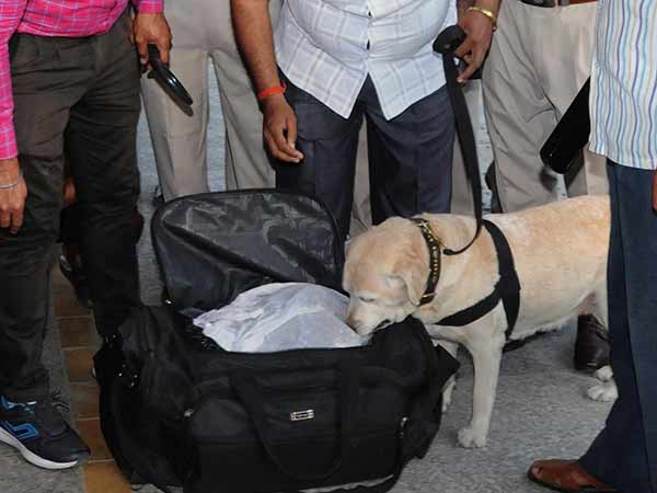 என்ன சோதனை