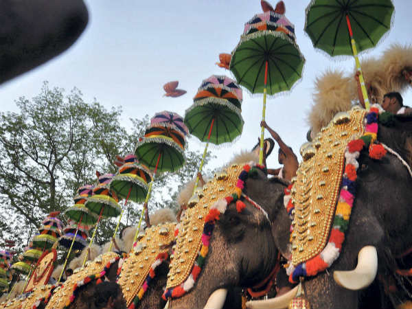 ராமச்சந்திரன் தலைமையில் யானைகள் அணிவகுப்பு