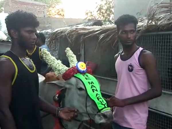 ஒன் மேன் ஆர்மி