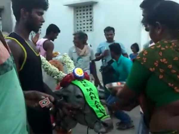 பிரியாணி விருந்து