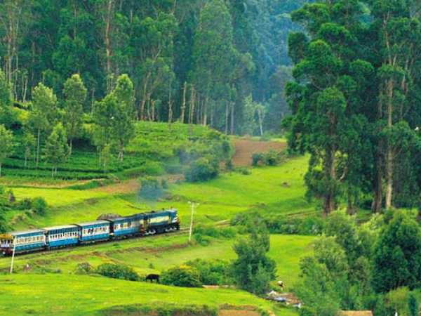 கூடுதல் இருக்கைகள்