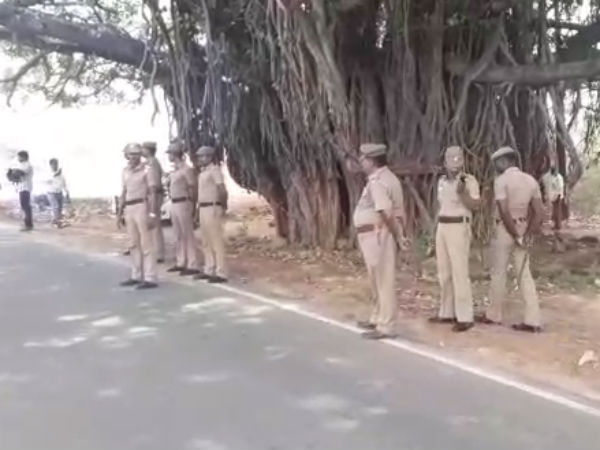 ஆலமரத்து பொந்து