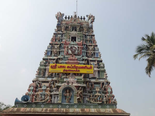 கூடாரப்பாறை பாலசுப்பிரமணியர் கோவில்