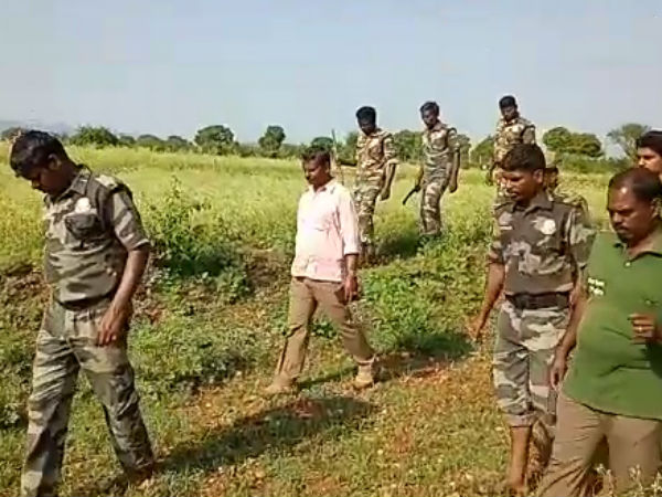 வனத்துறையினர் ஏமாற்றம்