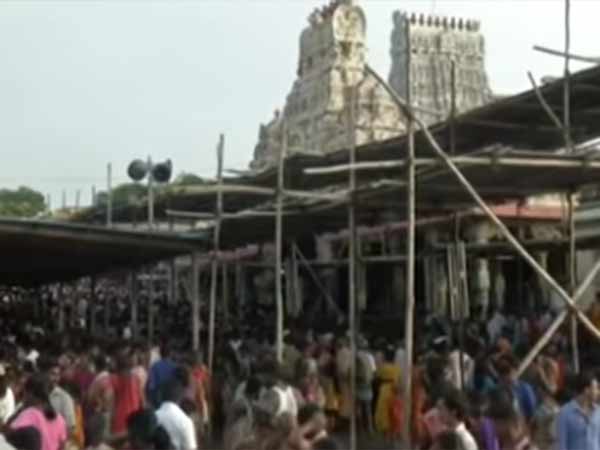 Vaikasi visakam festival celebrating across the Lord Murugan temples Vaikasi visakam festival celebrating across the Lord Murugan temples