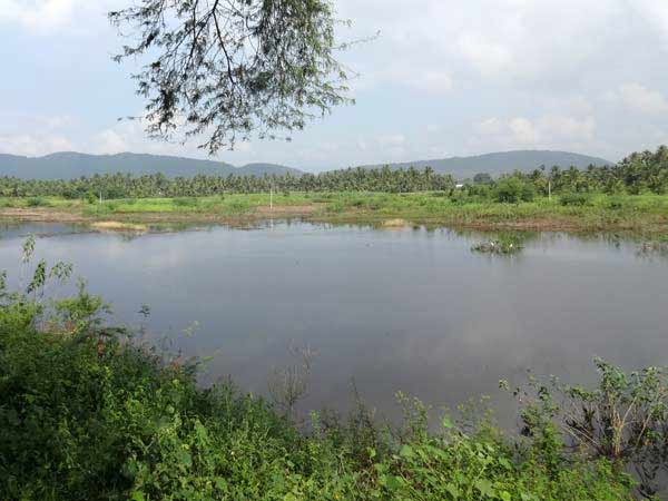 தண்ணீர் பிரச்சனை