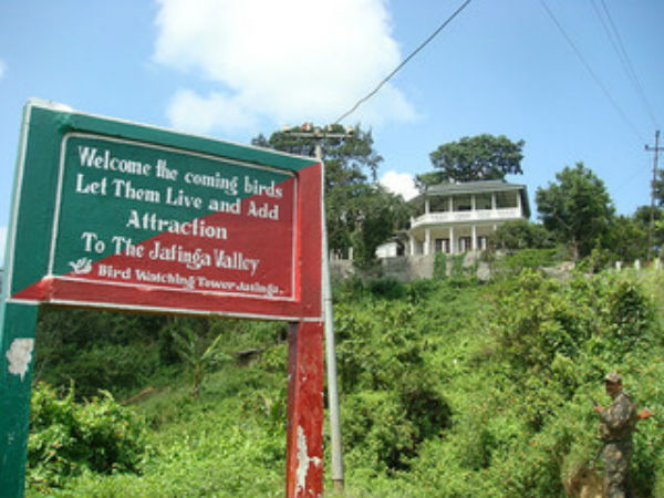 Jatinga- Valley of Deaths for Birds Jatinga- Valley of Deaths for Birds