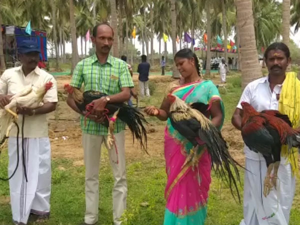 அழியும் நிலை