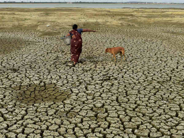 Thousands of lakes in the state of Tamilnadu Totally dry Thousands of lakes in the state of Tamilnadu Totally dry