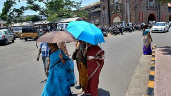 Back to Old Farm Chennai Climate.. The wind blew Consequently sun heat also Back to Old Farm Chennai Climate.. The wind blew Consequently sun heat also
