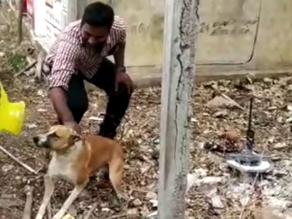 விடுவிப்பு