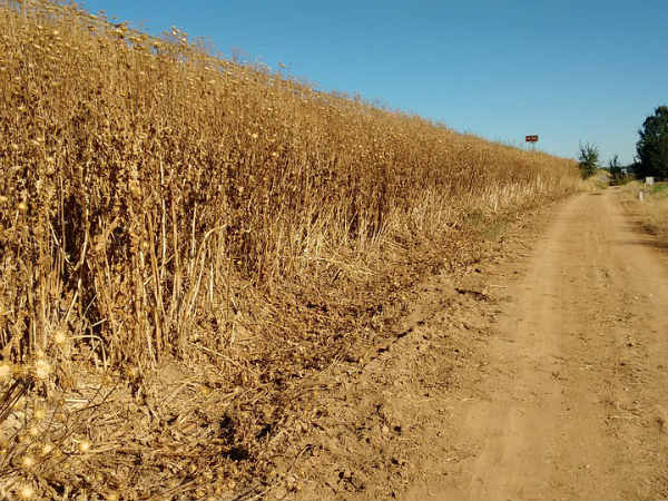 பணியாற்ற உத்தரவு