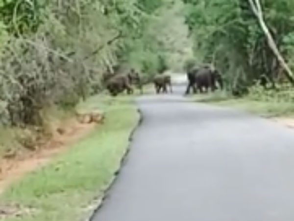 அறிவுரை