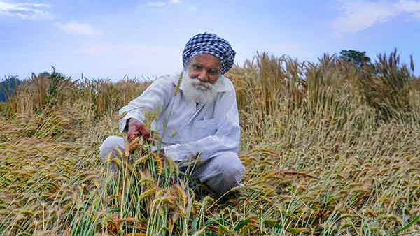 சிறிய உதவி தொடரும்
