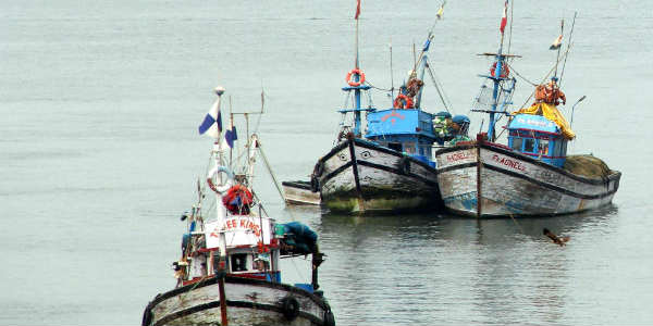 Fishing ban in Tamil Nadu completed..Will the price of fish fall? Fishing ban in Tamil Nadu completed..Will the price of fish fall?