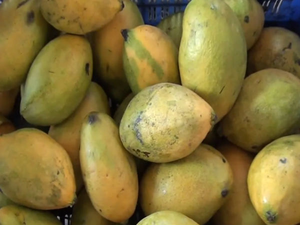 அதிகமாக காணப்படுகிறது