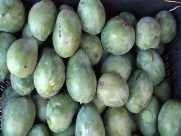 வியாபாரிகள்