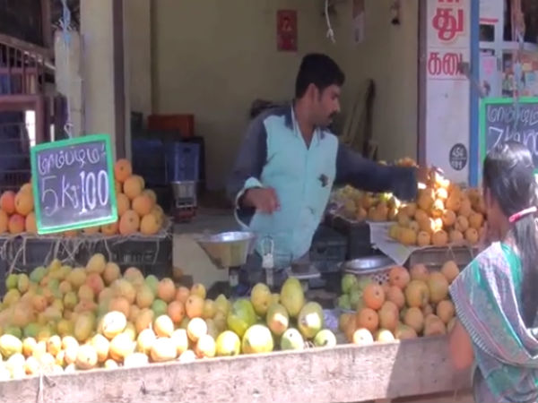 மாங்காய் உற்பத்தி