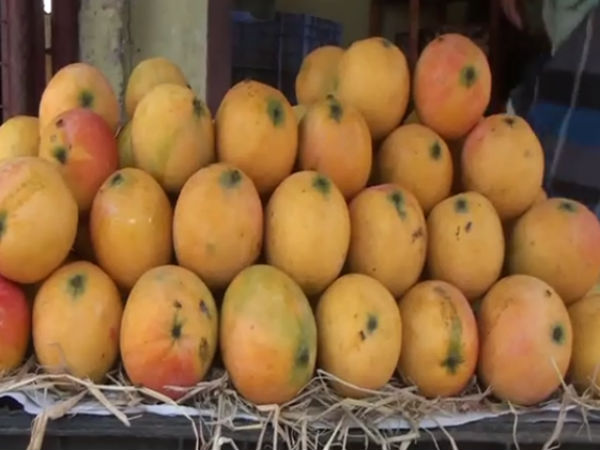 அல்போன்சா
