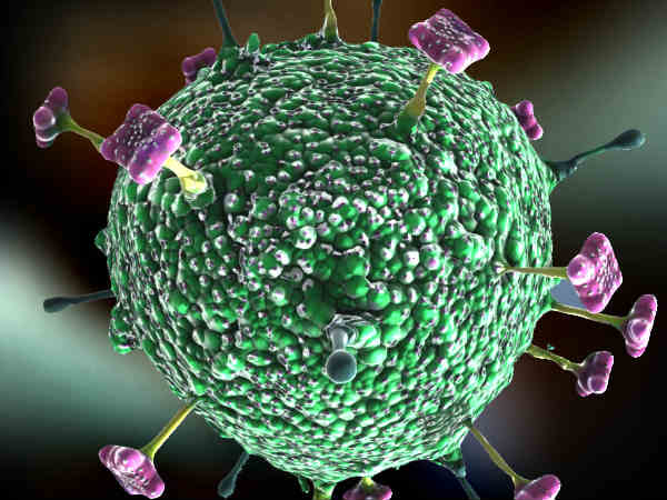 Nipah virus scares: Precautionary measures intensification Says Minister Vijayabaskar Nipah virus scares: Precautionary measures intensification Says Minister Vijayabaskar