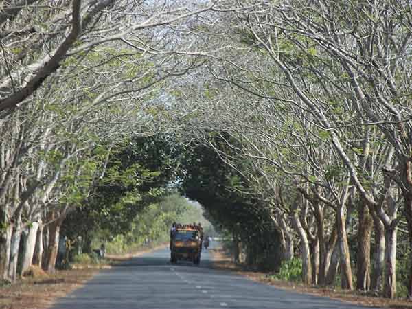 விவசாயிகள் போராட்டம்