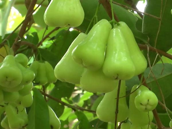 சொல்லித் தருகிறார்
