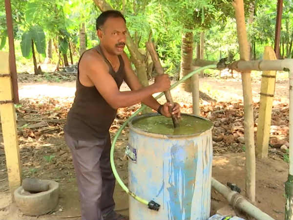 முழுவதும் இயற்கை