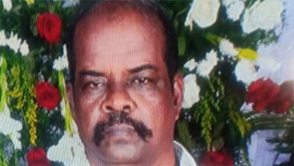 பிறப்பு உறுப்பு