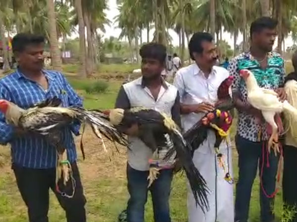 கிளி மூக்கு
