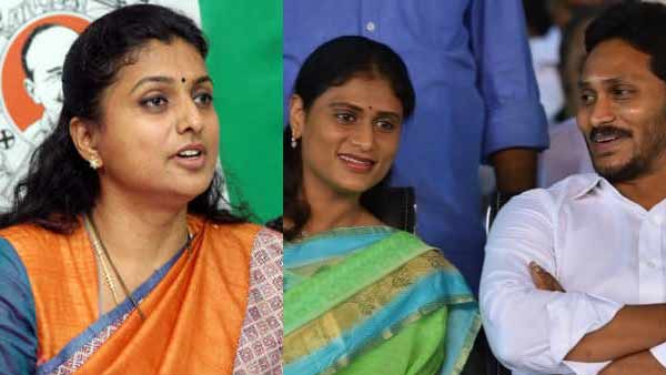 who is behind the exclusion of roja from ap cabinet who is behind the exclusion of roja from ap cabinet