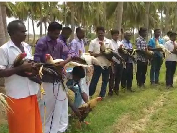 வளர்ப்பு