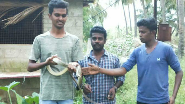 Snake Catcher Sheikh Husseins special interview Snake Catcher Sheikh Husseins special interview