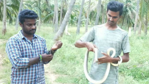 Snake Catcher Sheikh Husseins special interview Snake Catcher Sheikh Husseins special interview