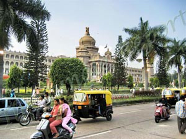 Increased foreign tree varieties in Bangalore.. complaining of soil fertility Increased foreign tree varieties in Bangalore.. complaining of soil fertility