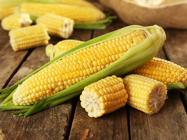 கோழிப்பண்ணையாளர்கள் பாதிப்பு