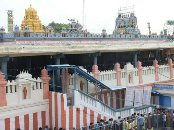 Special worship at all the Murugan temples in Tamil Nadu Special worship at all the Murugan temples in Tamil Nadu