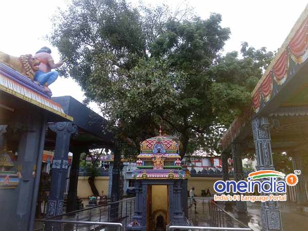இறைவழிபாட்டுக்குறிய ஆடி