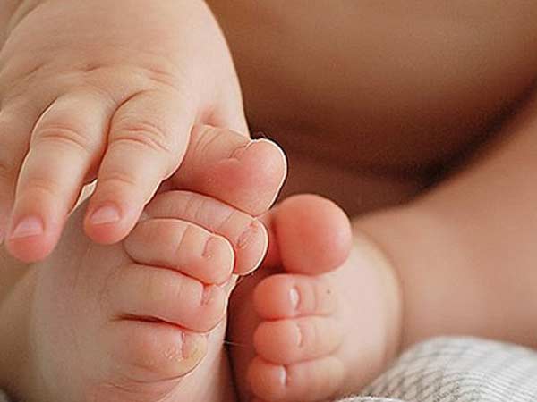 Dogs save newborn girl in Haryana Dogs save newborn girl in Haryana