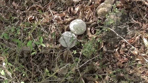 Bomb explodes in Puducherry, Rowdy Injured Bomb explodes in Puducherry, Rowdy Injured