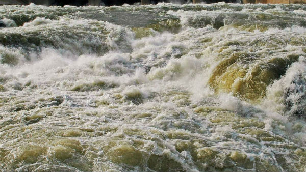 ak sinha ias appointed as Cauvery Management Authority chairman : central government ak sinha ias appointed as Cauvery Management Authority chairman : central government