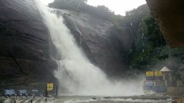Flood in Courtallam Falls, Bathing is prohibited for tourists Flood in Courtallam Falls, Bathing is prohibited for tourists