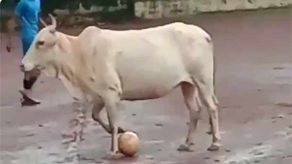 சோகம்