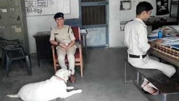 A family killed 5 peoples In Madhya Pradesh; Police brought the Dog A family killed 5 peoples In Madhya Pradesh; Police brought the Dog