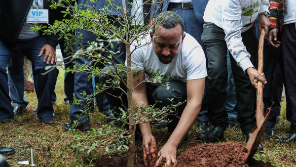 Ethiopias record of planting some 35 crores of trees in 12 hours Ethiopias record of planting some 35 crores of trees in 12 hours