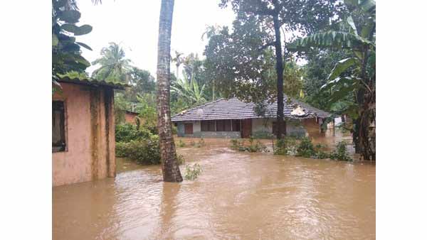 Kerala Rain: Red alert issued for the Kasargod district Kerala Rain: Red alert issued for the Kasargod district