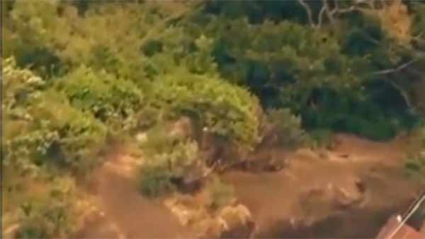சுப்பிரமணி