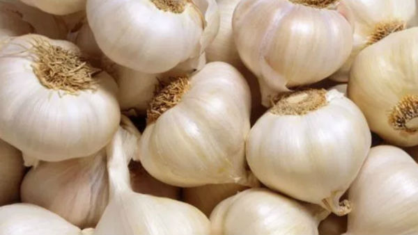 Geological code for Kodaikanal mountain garlic..Farmers in happiness Geological code for Kodaikanal mountain garlic..Farmers in happiness