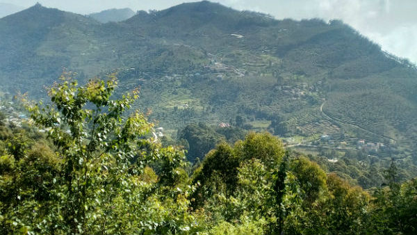 Drizzle Rain in Kodaikanal and surrounding areas, tourist enjoying Drizzle Rain in Kodaikanal and surrounding areas, tourist enjoying